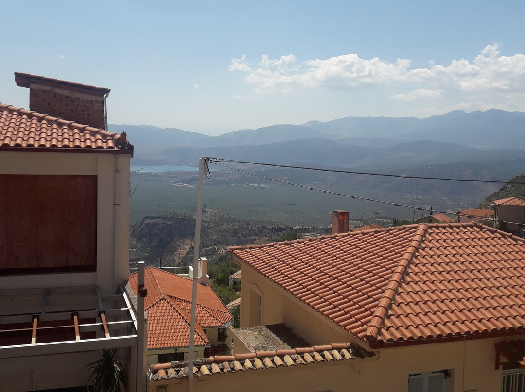 费德雷亚迪斯德尔菲酒店主图