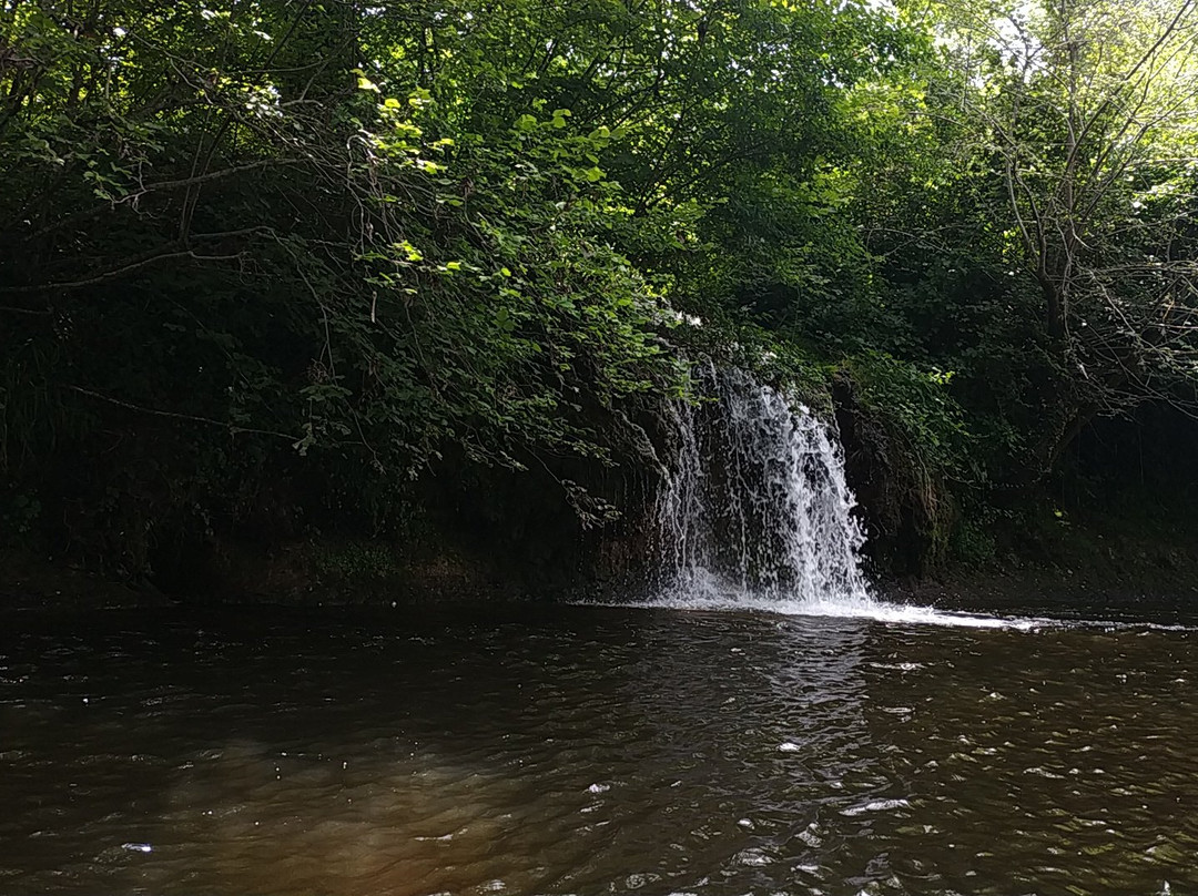 Canoe APA St. Leon sur Vezere-Saint-Leon-sur-Vezere必去景点