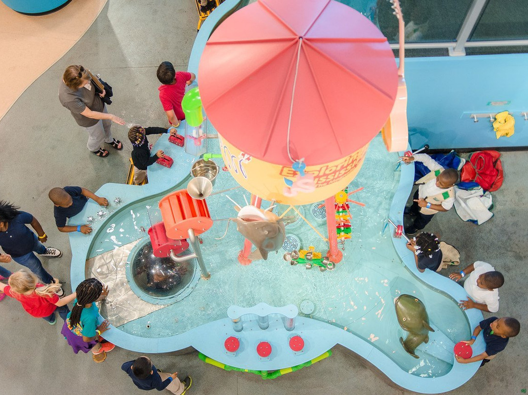 Mississippi Children's Museum景点图片