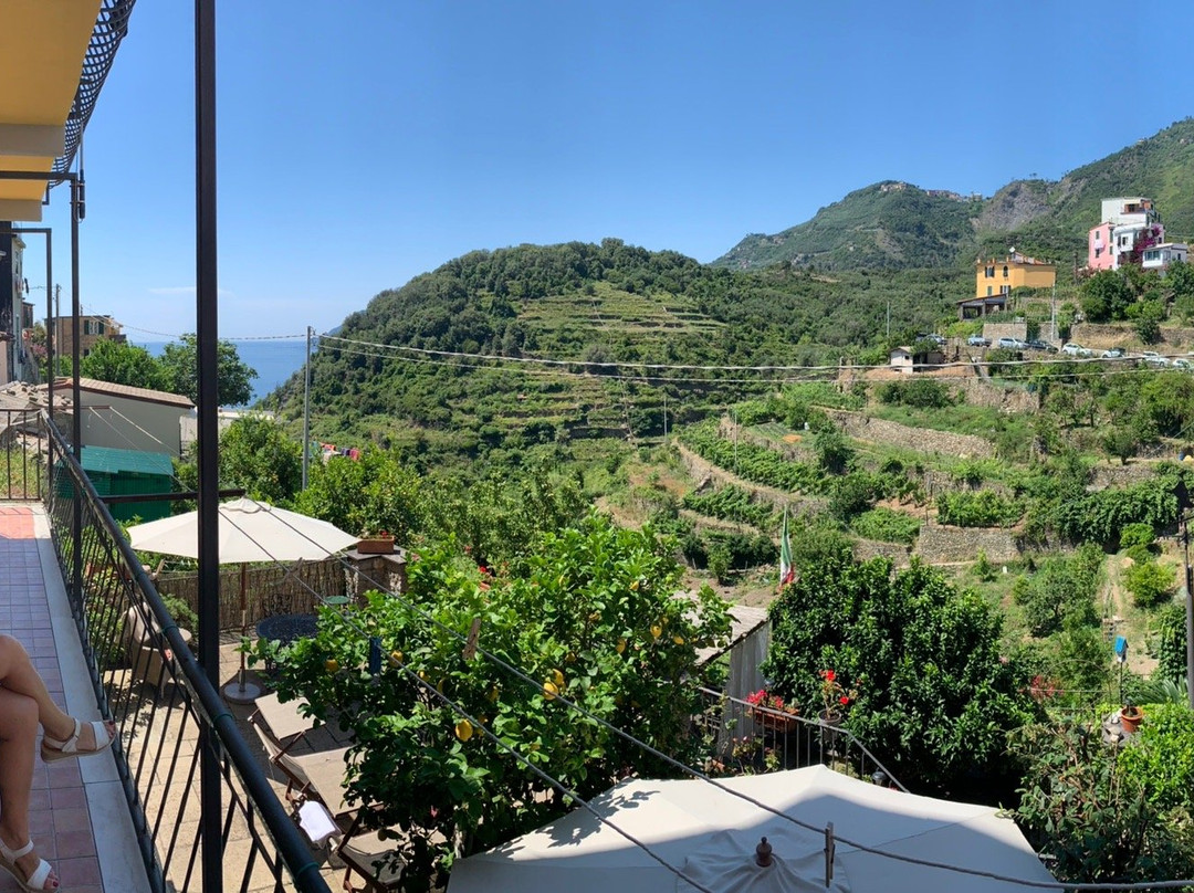 艾弗塔卡梅瑞尔特拉兹酒店主图