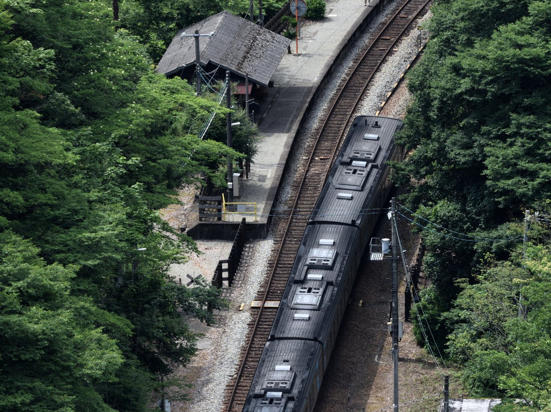 Tsubojiri Station-三好市必去景点