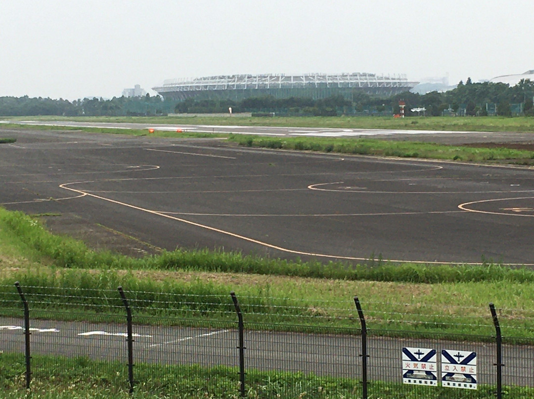 Musashinonomori Park-府中市必去景点