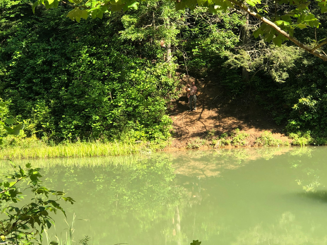 Crazy Mountain Cycles-Bluefield必去景点