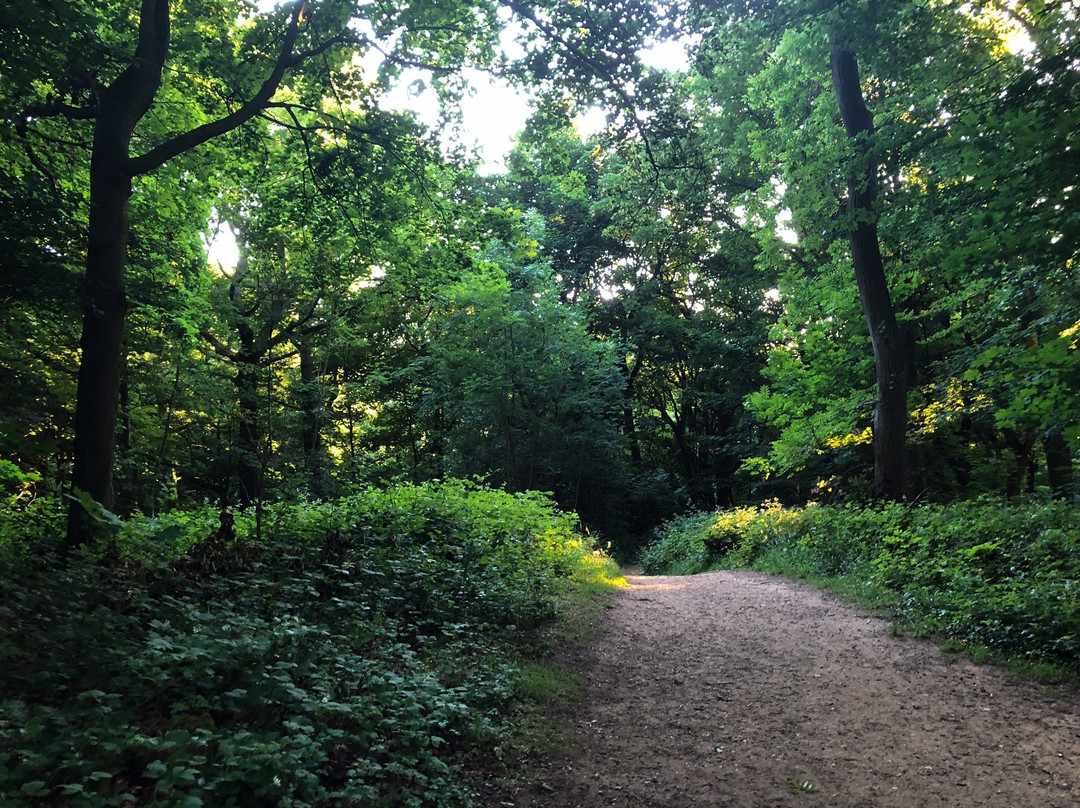 Linslade Wood景点图片