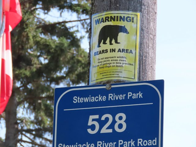 Stewiacke River Park-Stewiacke必去景点