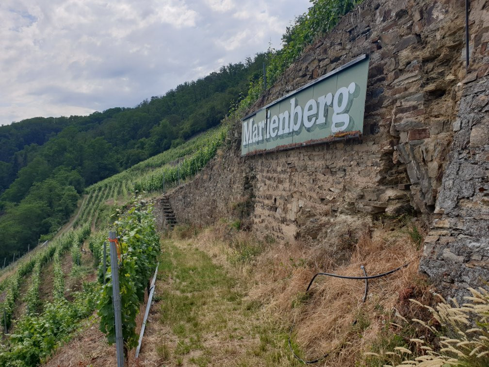Weingut Schwaab-科布伦茨必去景点