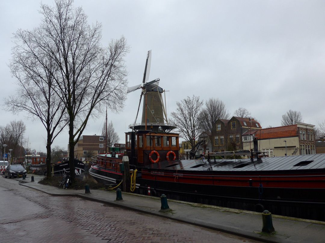 Red Lion Windmill (Molen De Roode Leeuw)-高德必去景点