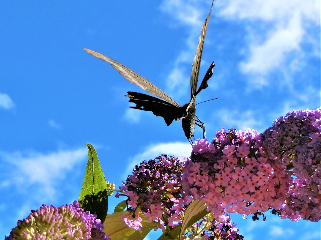 Ikoro no Mori-苫小牧市必去景点