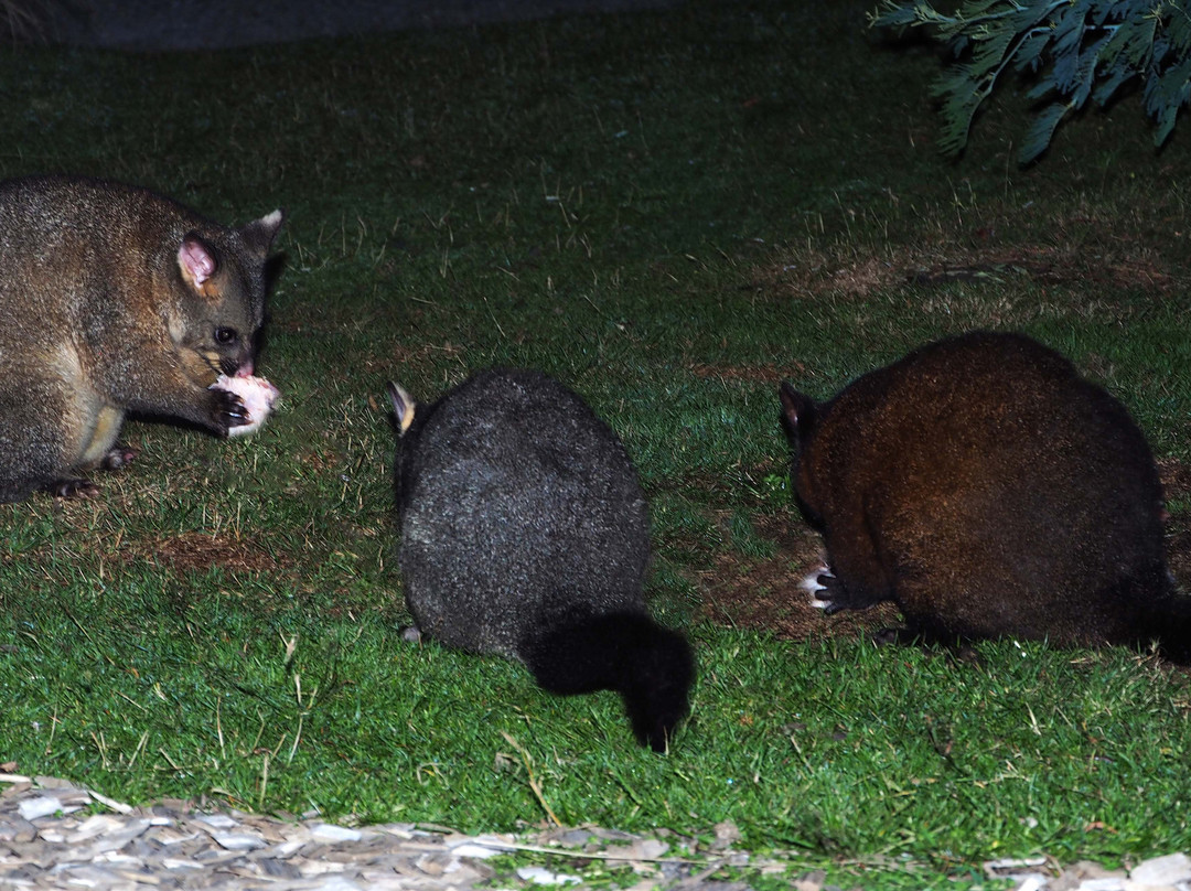 Mountain Valley Wilderness Holidays主图