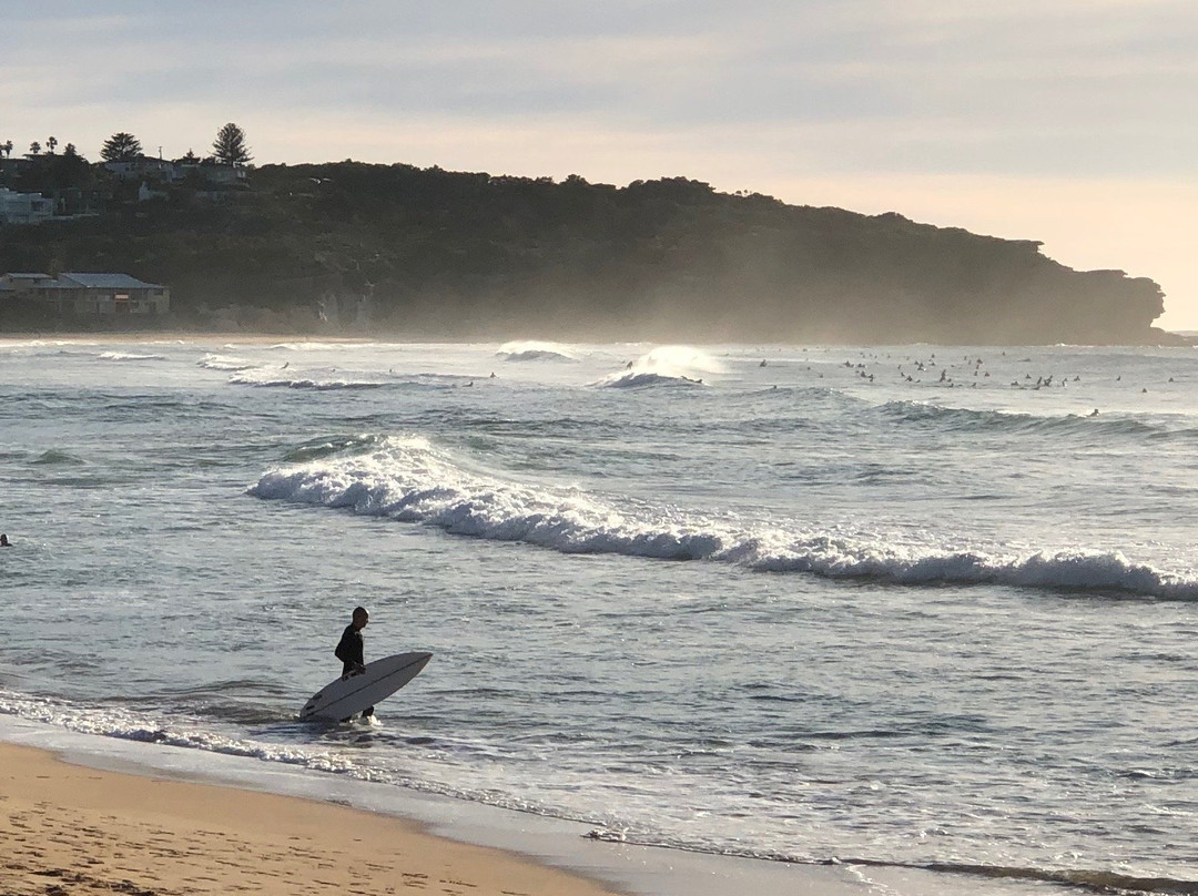 Curl Curl to Freshwater Beach Coastal Walk景点图片