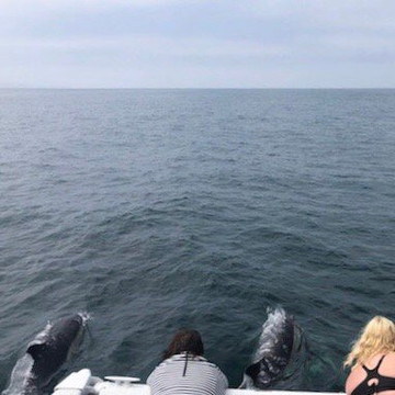 Malibu Coastal Adventures-马里布必去景点