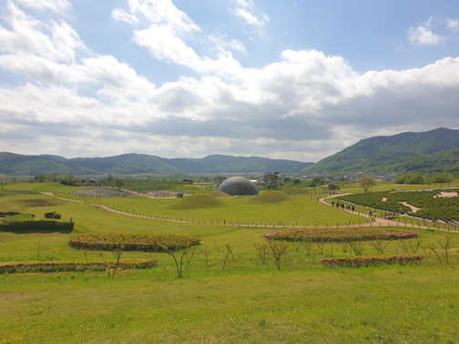 Uiseong Geumseongsan Gobungun-义城郡必去景点