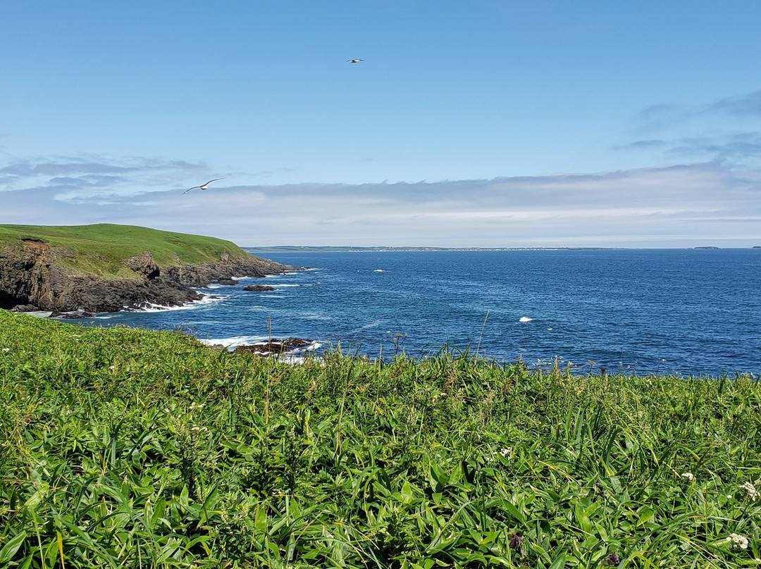Nemuro Kurumaishi-根室市必去景点