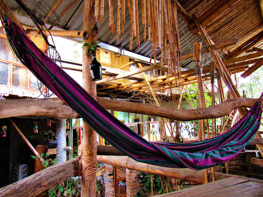 Hotel Casa Tarzan