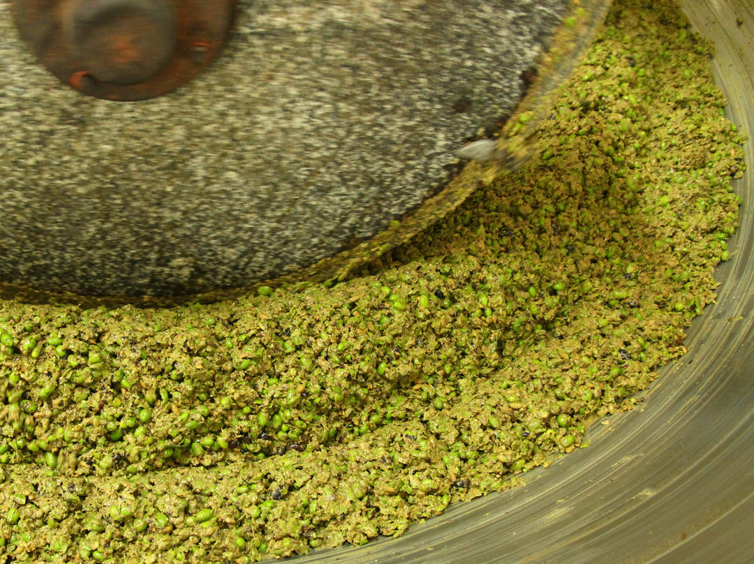 Frantoio Ancillotti-Cerreto Guidi必去景点