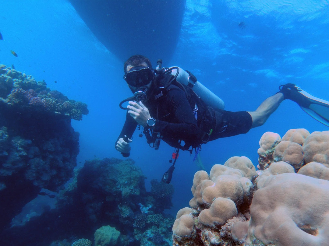Hope Of Spring Dive-吉达必去景点