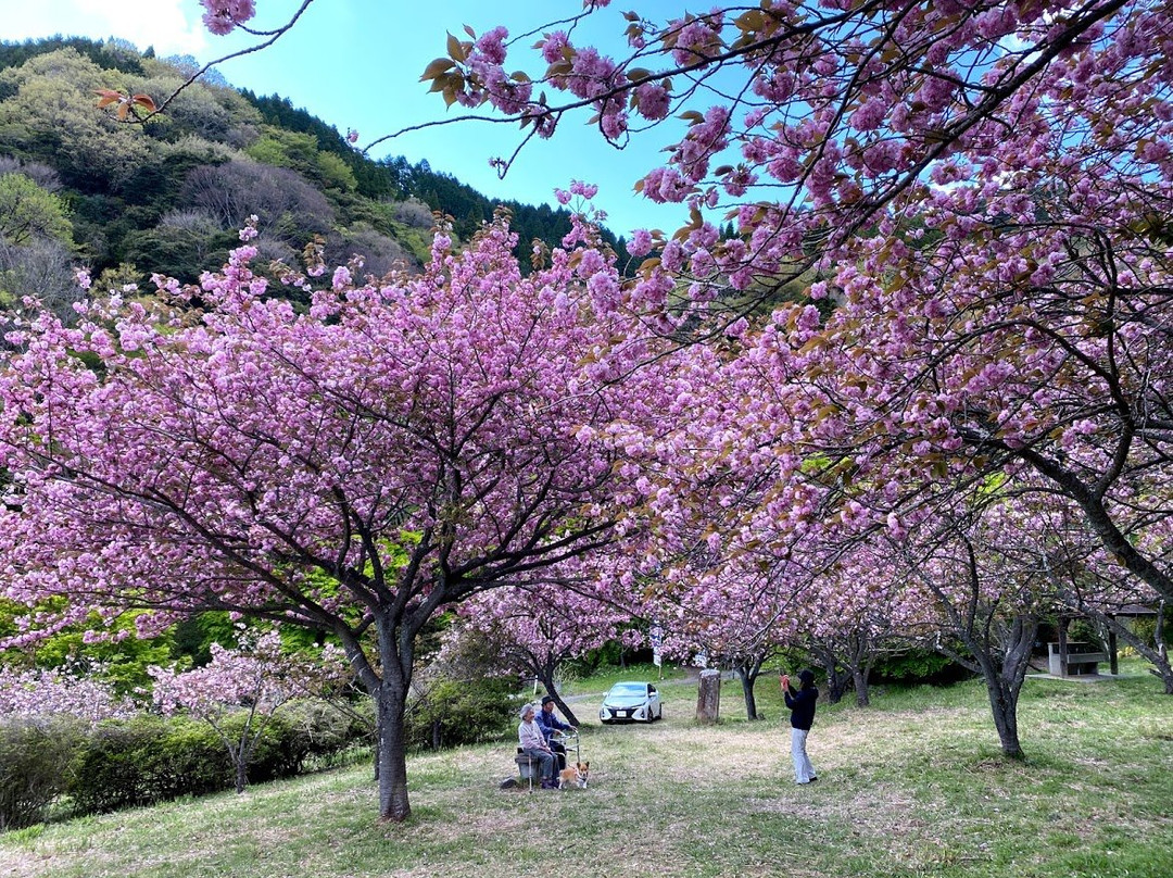 Eboshi Park-丰后大野市必去景点