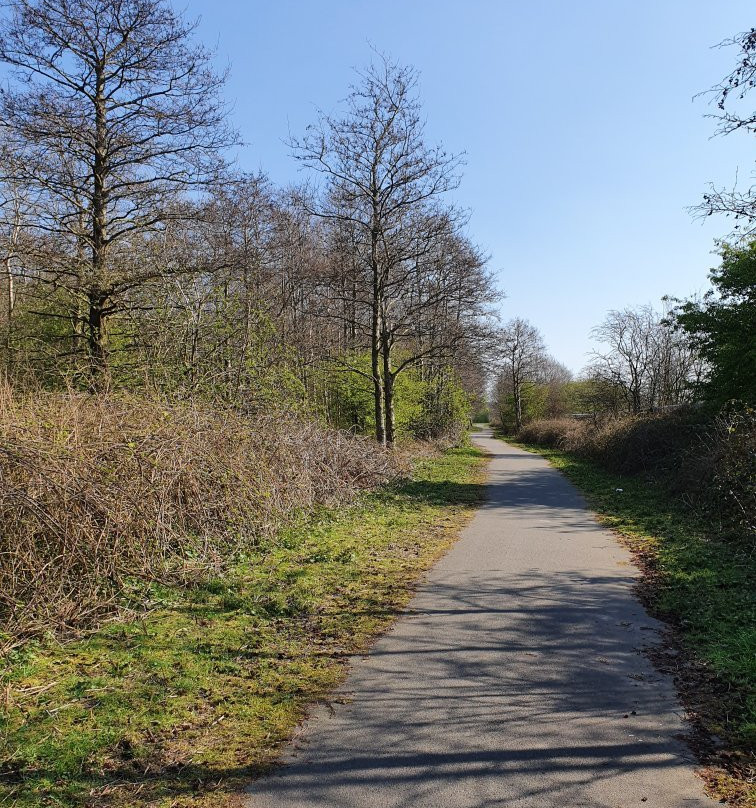 Alexandra Park-切斯特必去景点