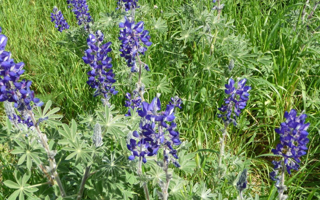 Nahal Hashofet-Yokneam Moshava必去景点