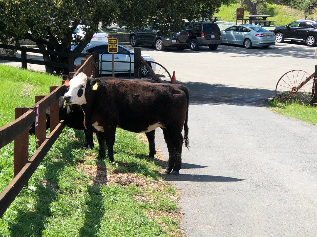 Borges Ranch-核桃溪必去景点
