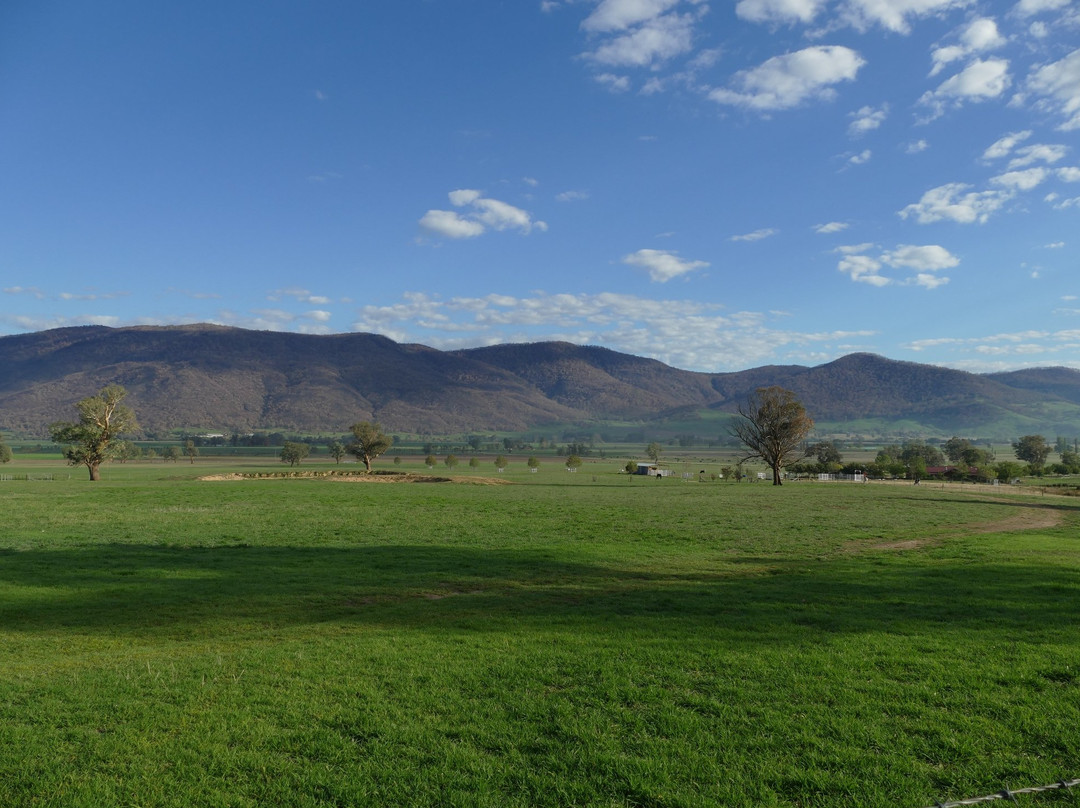 Mountain View Motel主图