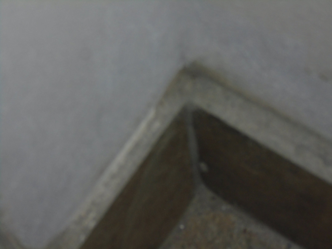 Best Western Lake Okeechobee主图