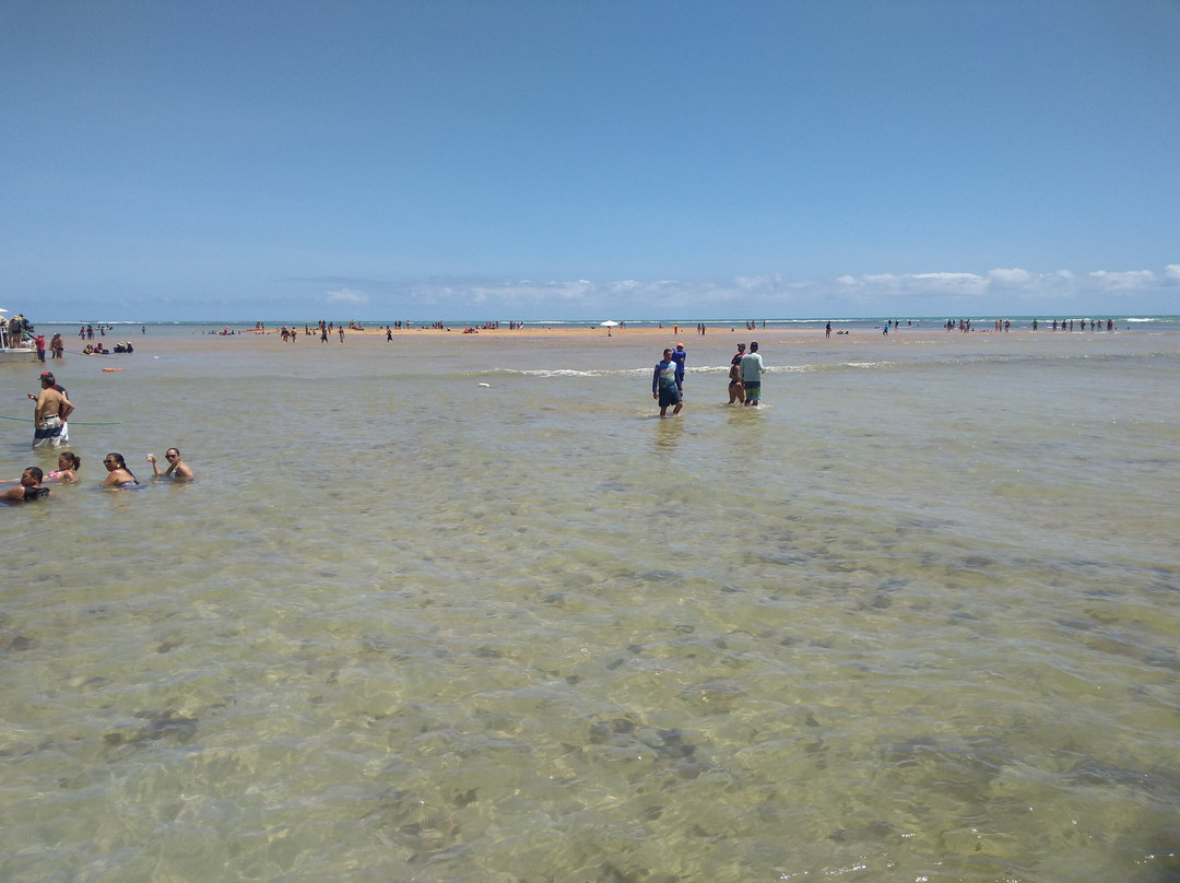 Areia Vermelha Marine State Park景点图片
