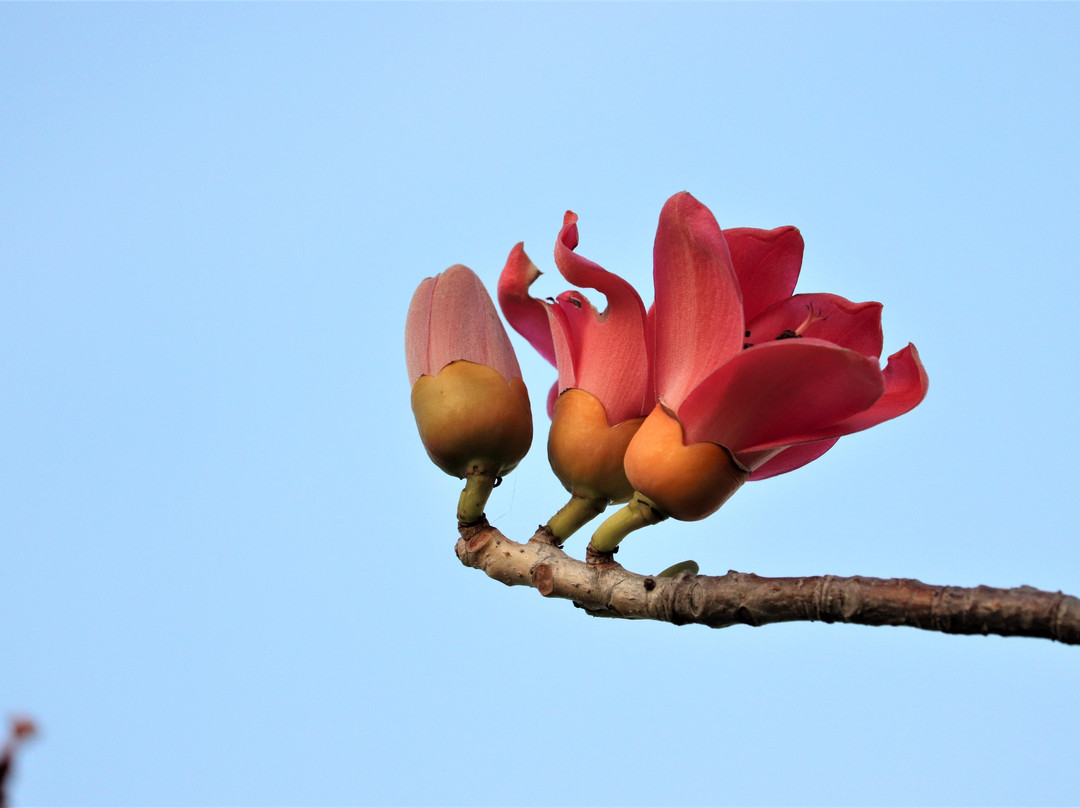 Kensville Golf Resort主图