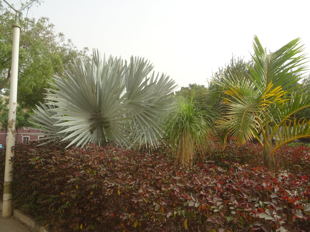 Praca Alexandre Albuquerque-培亚必去景点