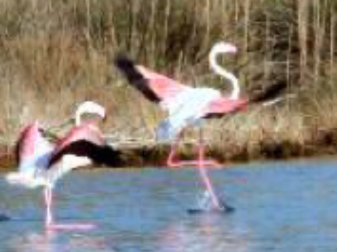 Meravisola Costa Rei主图