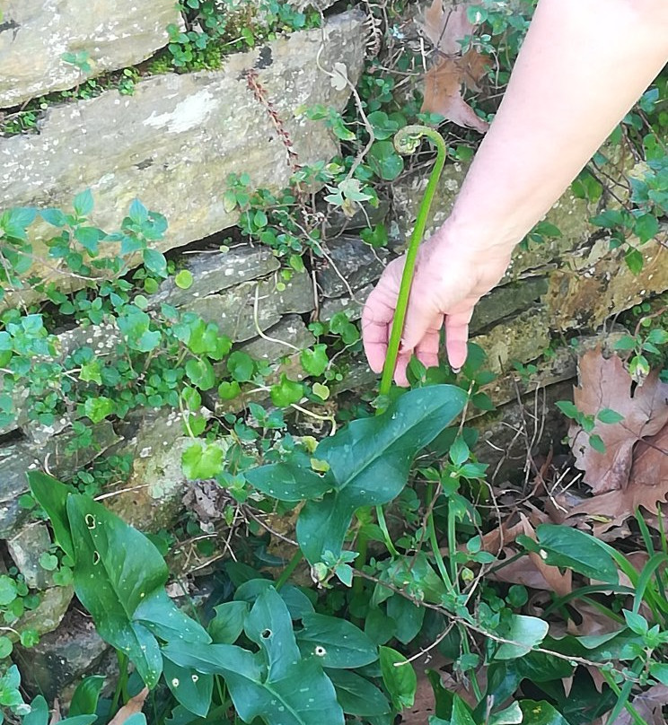 Nature Experience-Lafkos必去景点