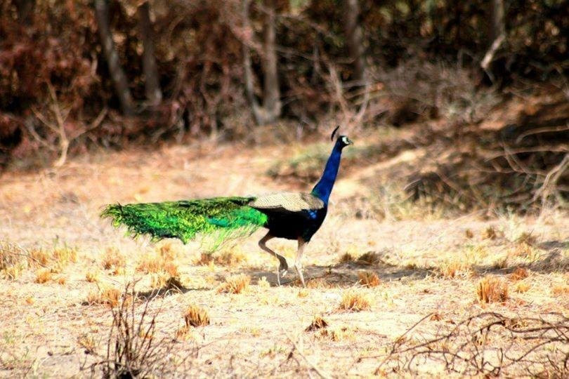 Ebrahim Travel & Tours-Mirpur Khas必去景点