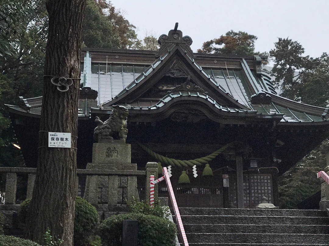 Kashima Shrine-相模原市必去景点