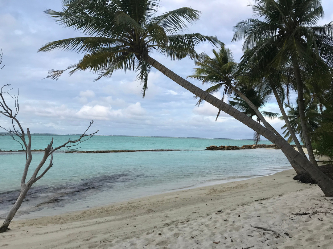 Arivilla Seaview主图