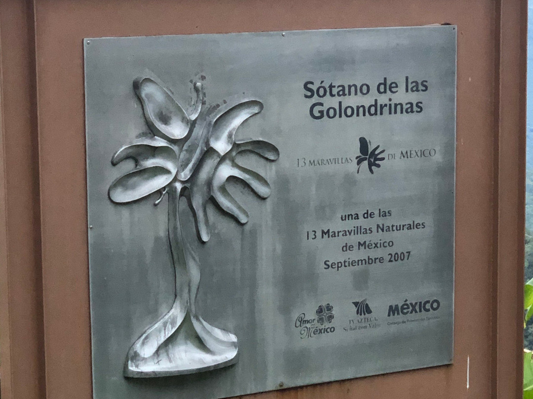 Sotano De Las Golondrinas景点图片