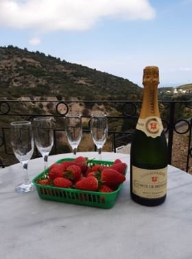 Gillham Vineyard Hotel主图