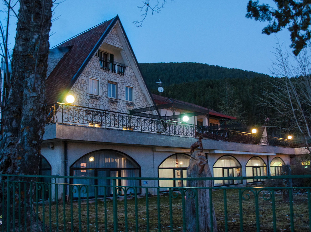 Hotel Bamby主图