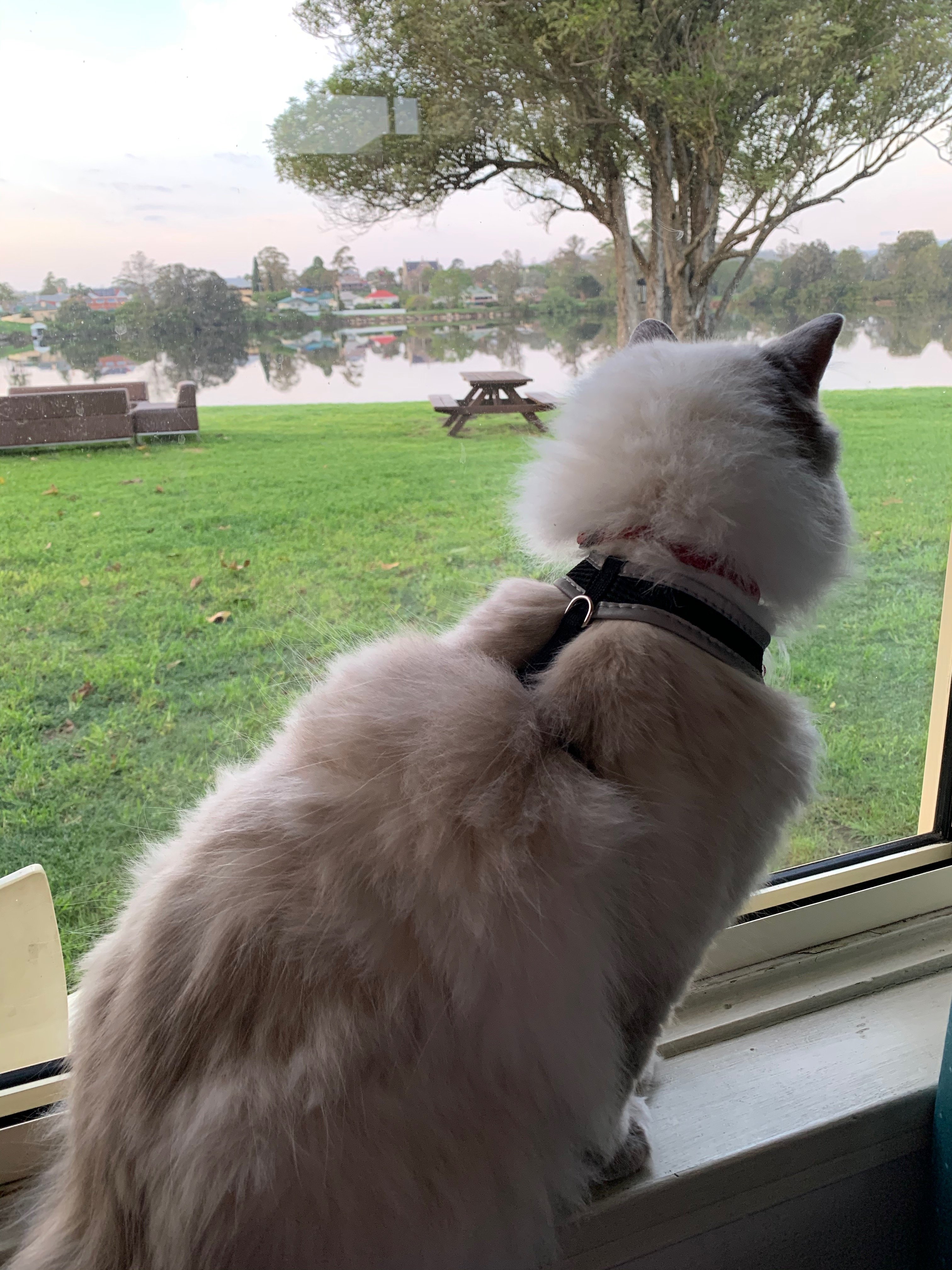 Moruya Waterfront Hotel Motel-酒店景观