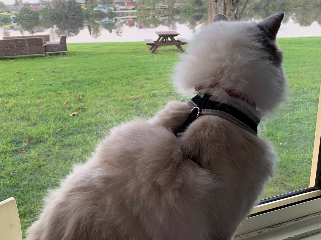 Moruya Waterfront Hotel Motel主图