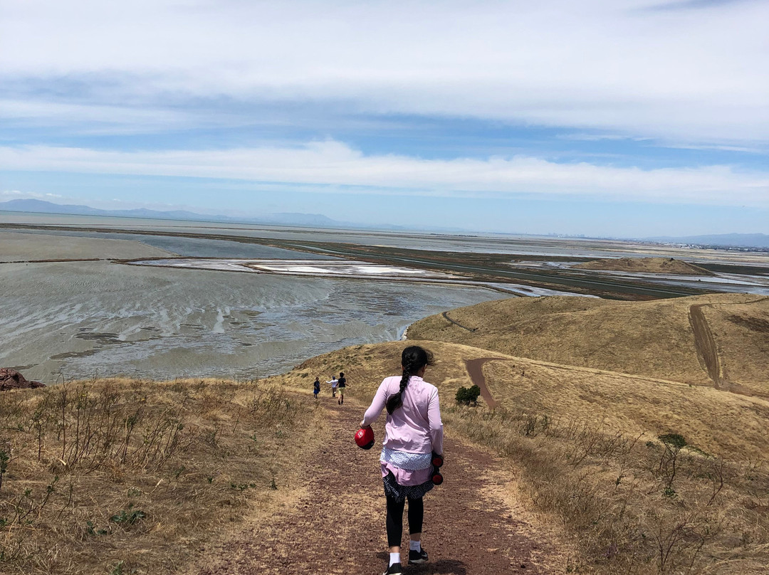 Coyote Hills Regional Park-费利蒙必去景点