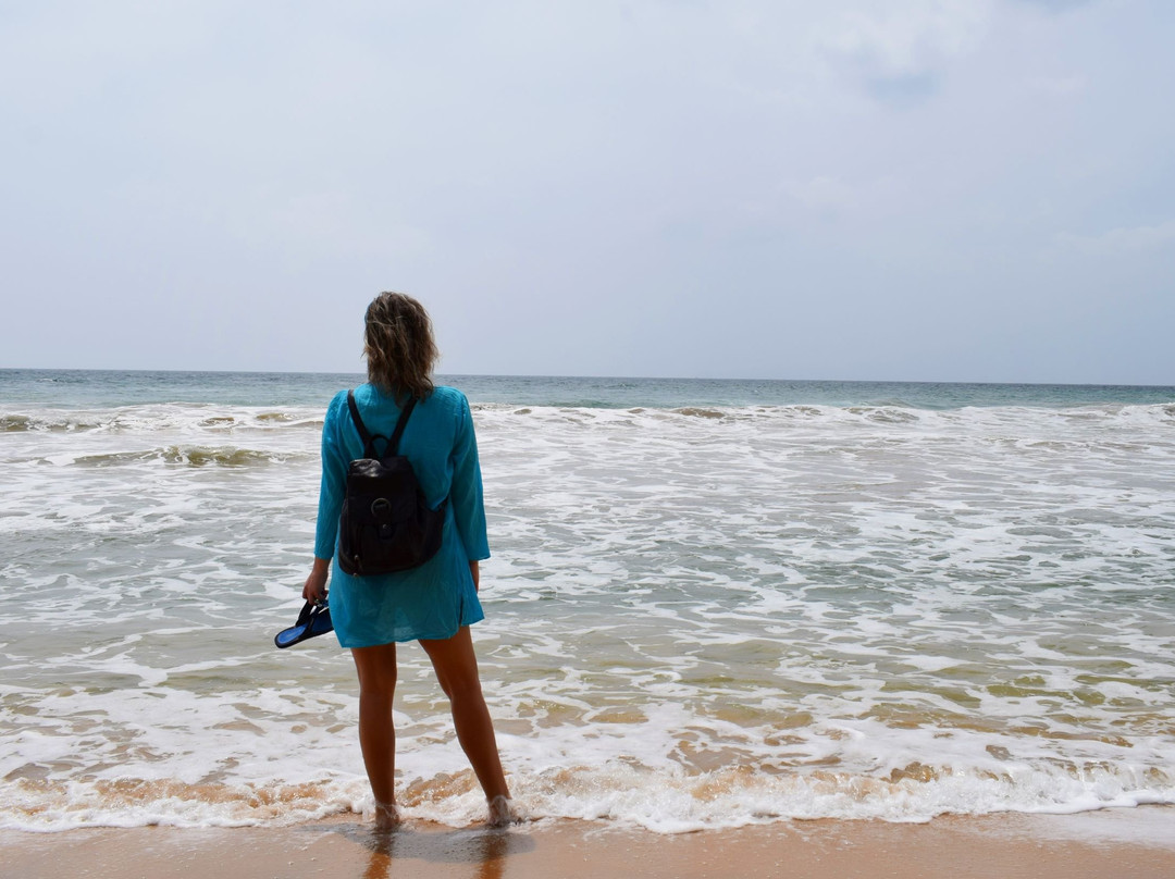 White Lion Paradise主图