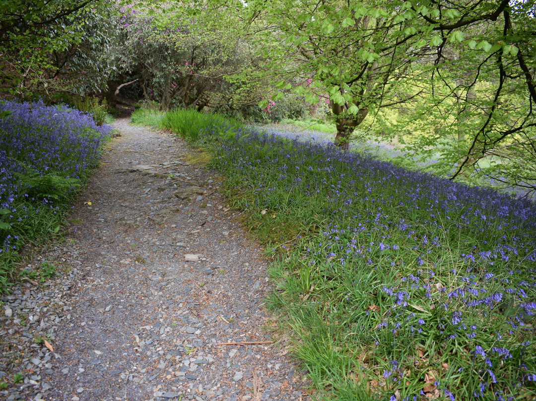 Plas Tan y Bwlch Gardens景点图片