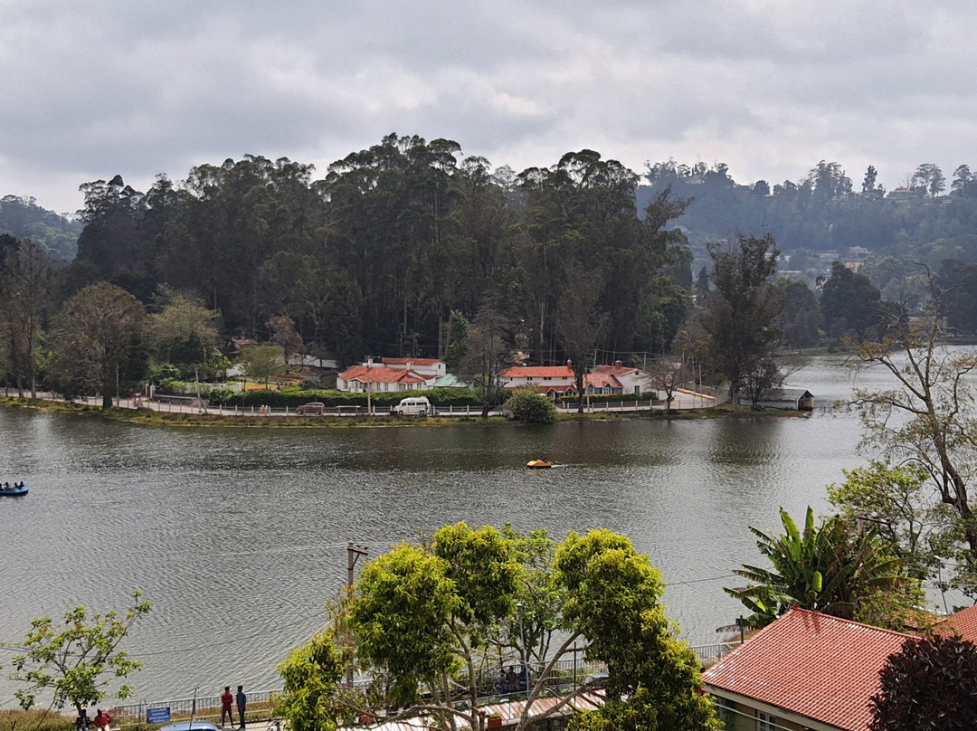 卡尔顿酒店主图