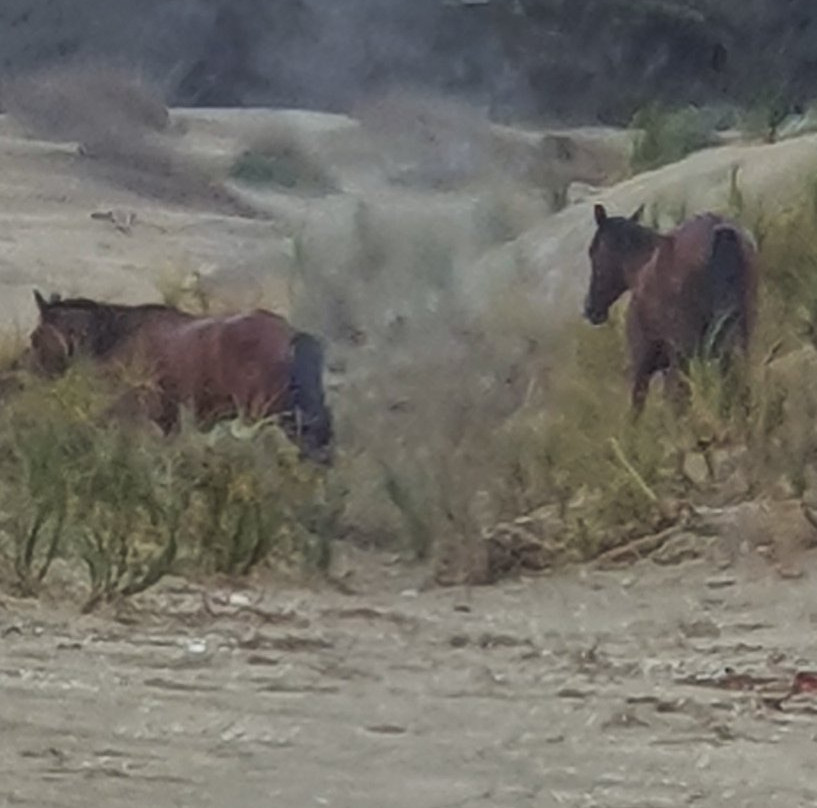 Cape Tours Petricevich-凯塔亚必去景点