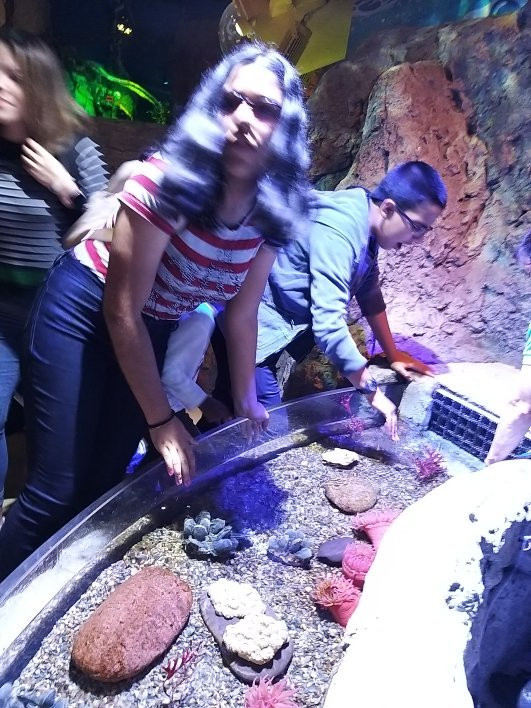 奥兰多海洋世界水族馆-奥兰多必去景点