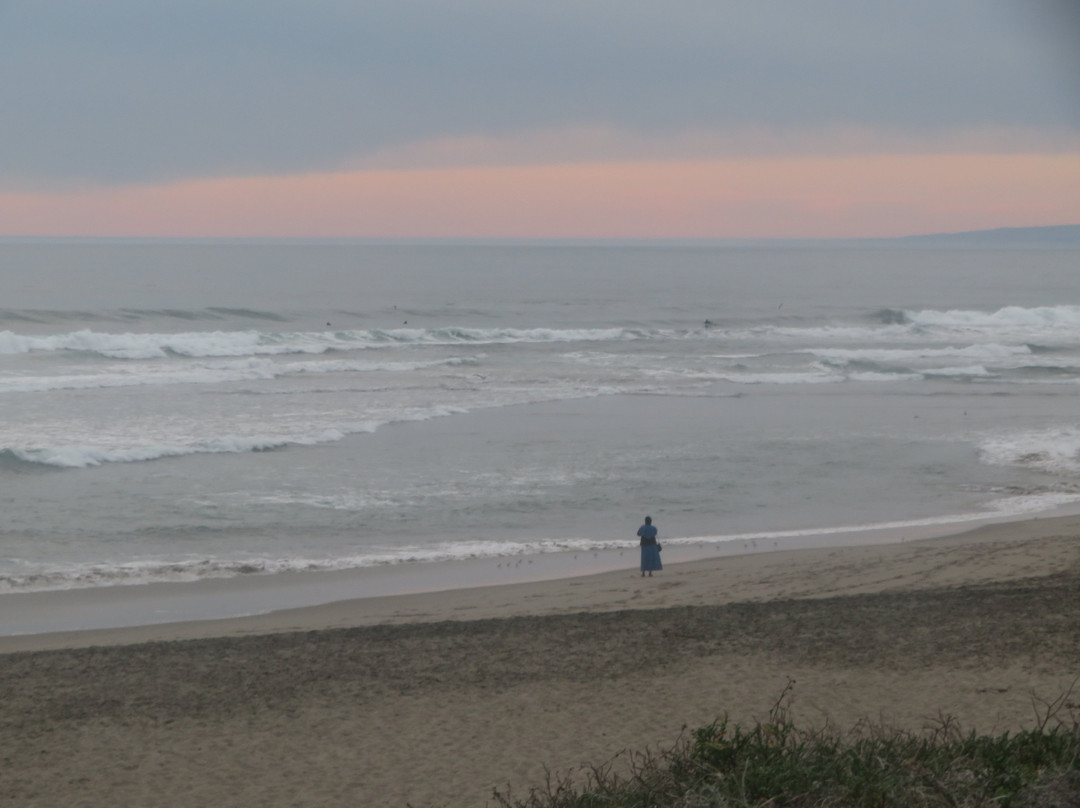 Moss Landing State Beach景点图片