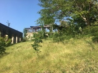 Caneel Bay Resort主图