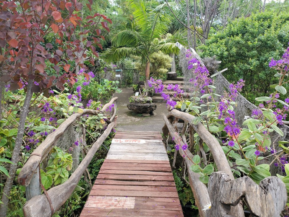 Jardin Tau Kiani Rapa Nui-安加罗阿必去景点