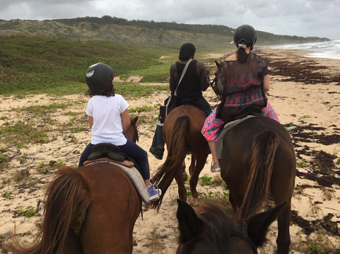 Ride Barbados-Saint Andrew Parish必去景点