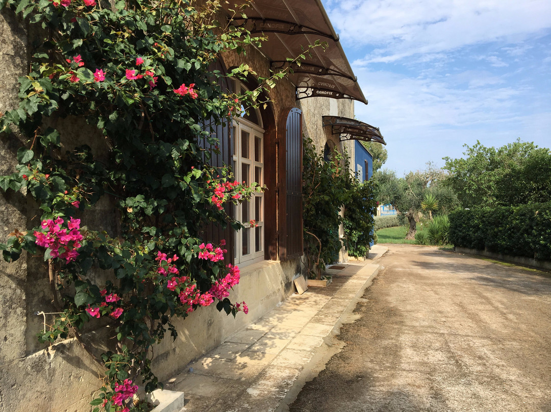 Yoga in Salento-莱切必去景点